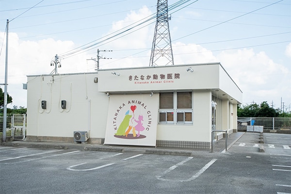 きたなか動物医院