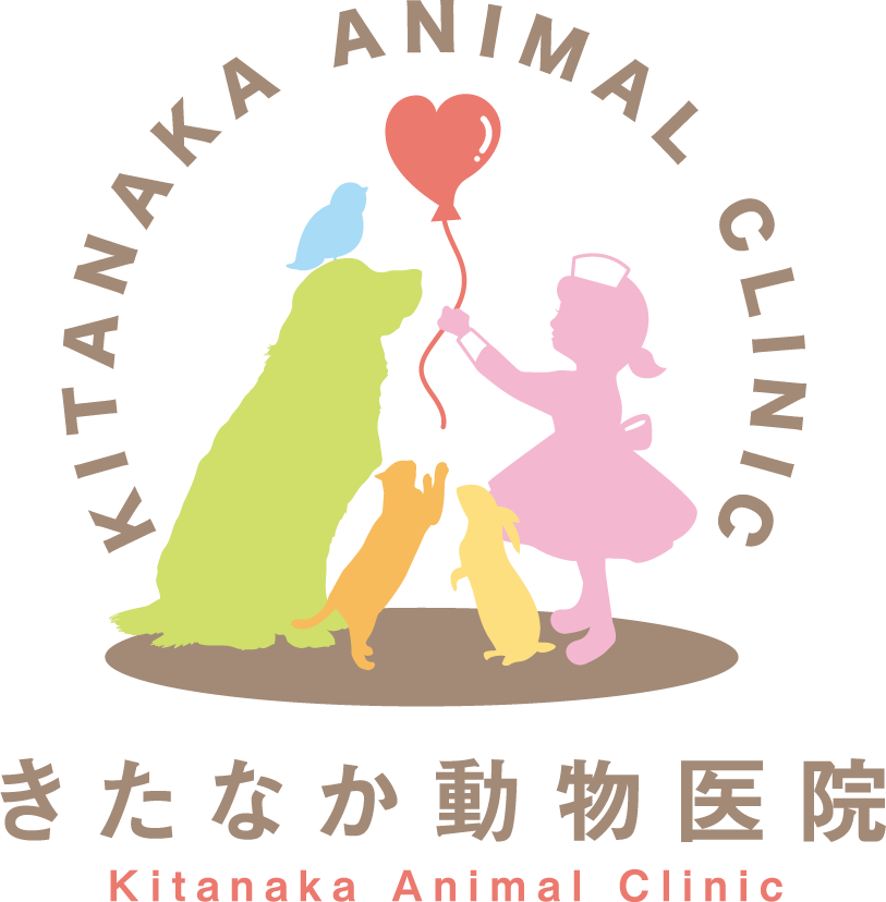 きたなか動物医院 Kitanaka Animal Clinic